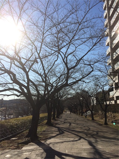 f:id:w679864atsu-moro:20170204125212j:image f:id:w679864atsu-moro:20170204125212j:image