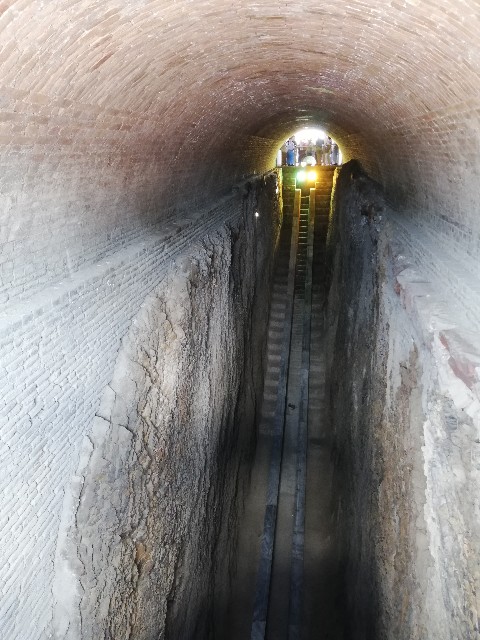 f:id:w_0729:20190706205941j:image