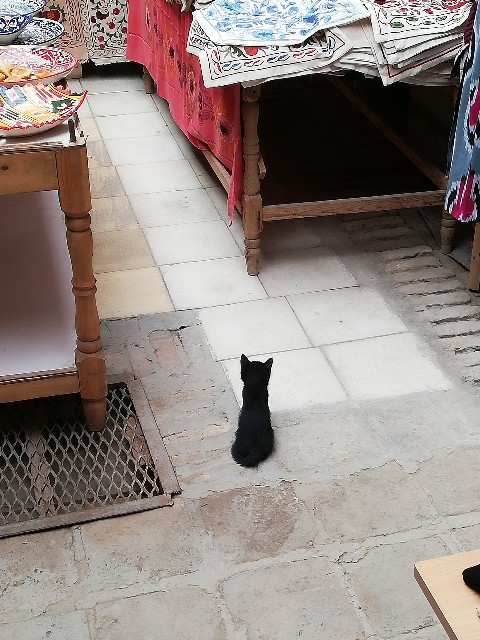 f:id:w_0729:20190811011155j:image