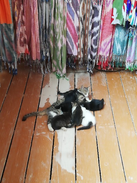 f:id:w_0729:20190811011345j:image