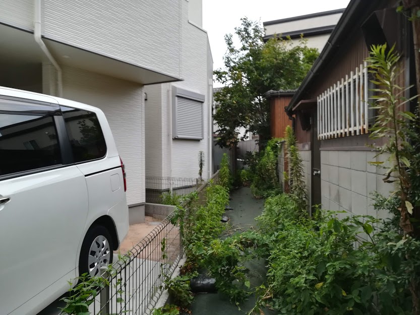 f:id:w_Taishido:20191110233005j:plain f:id:w_Taishido:20191110233005j:plain