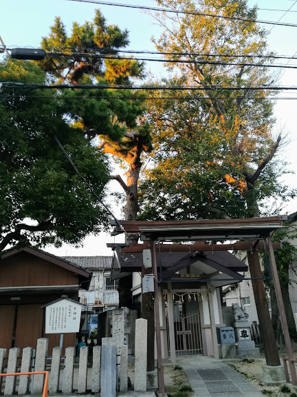 f:id:w_Taishido:20191110233834j:plain f:id:w_Taishido:20191110233834j:plain