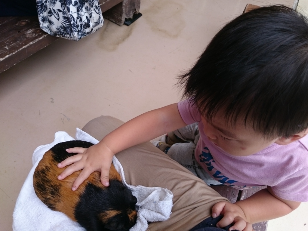 f:id:wa-haha:20160920001343j:plain