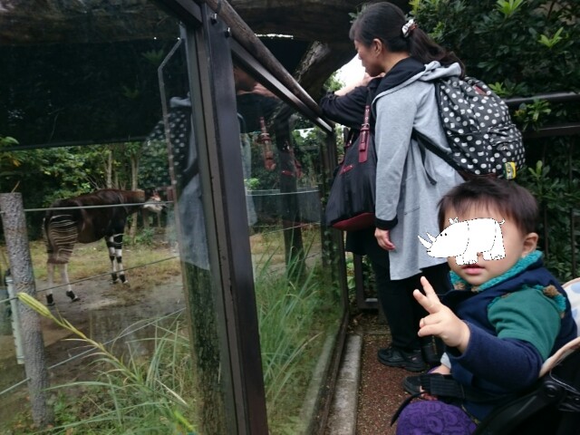 f:id:wa-haha:20161029155659j:image f:id:wa-haha:20161029155659j:image