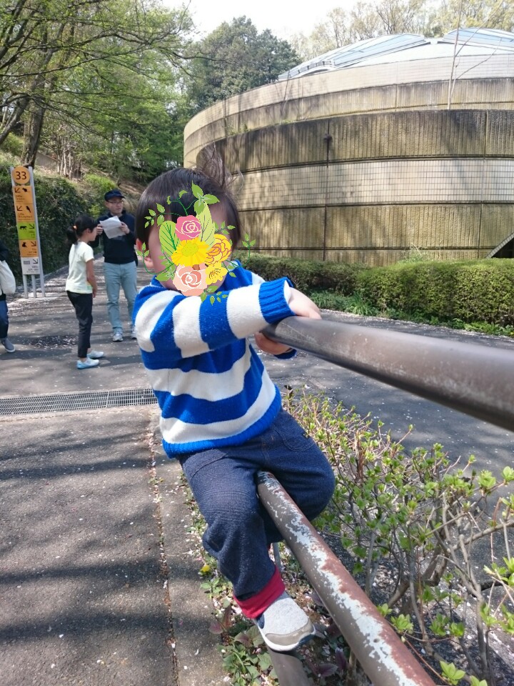 f:id:wa-haha:20170415155123j:image