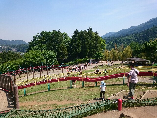 f:id:wa-haha:20170521161823j:image