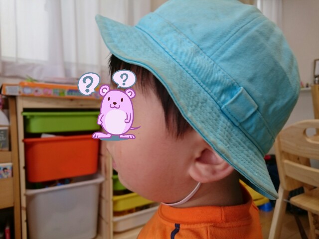 f:id:wa-haha:20170702201018j:image f:id:wa-haha:20170702201018j:image