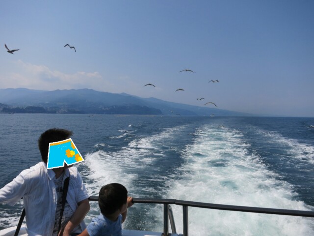 f:id:wa-haha:20170710231432j:image