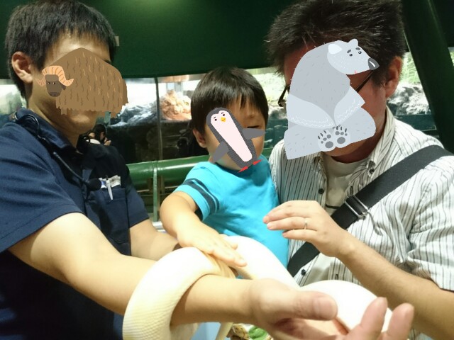 f:id:wa-haha:20170904214322j:image f:id:wa-haha:20170904214322j:image