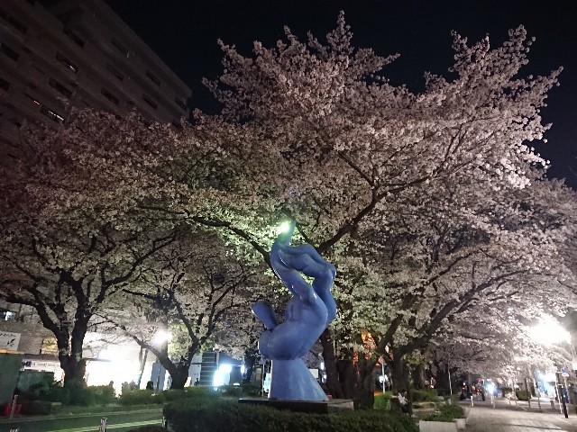 f:id:wa-haha:20180401133317j:image f:id:wa-haha:20180401133317j:image