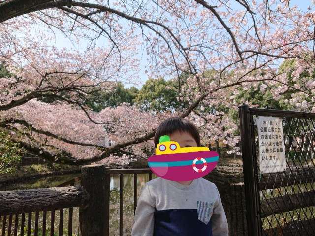f:id:wa-haha:20180401133340j:image f:id:wa-haha:20180401133340j:image