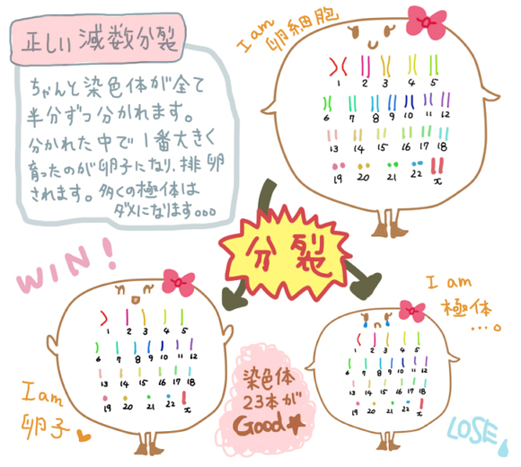 f:id:wa-wan:20181207020908j:plain f:id:wa-wan:20181207020908j:plain