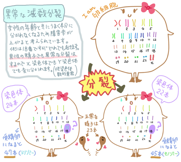 f:id:wa-wan:20181207022030j:plain f:id:wa-wan:20181207022030j:plain