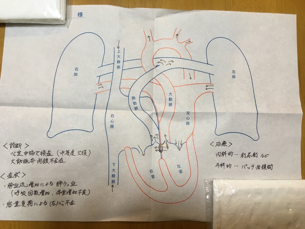 f:id:wa-wan:20190823075642j:plain f:id:wa-wan:20190823075642j:plain