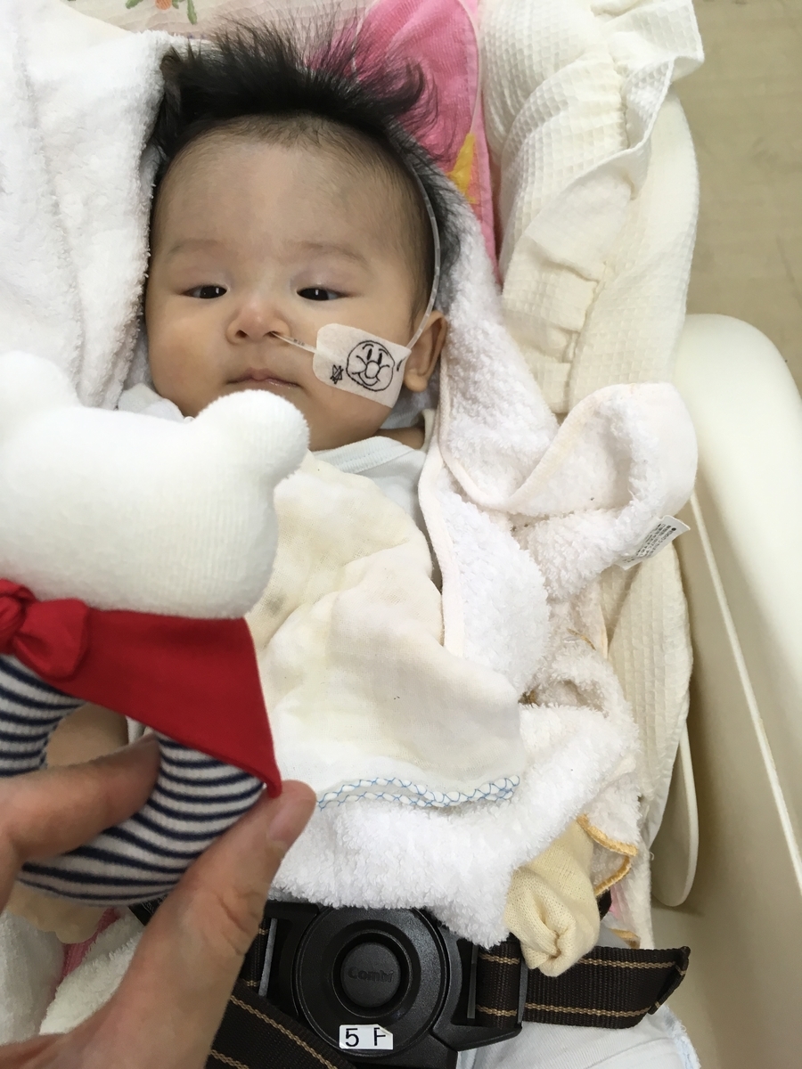 f:id:wa-wan:20190823075808j:plain f:id:wa-wan:20190823075808j:plain