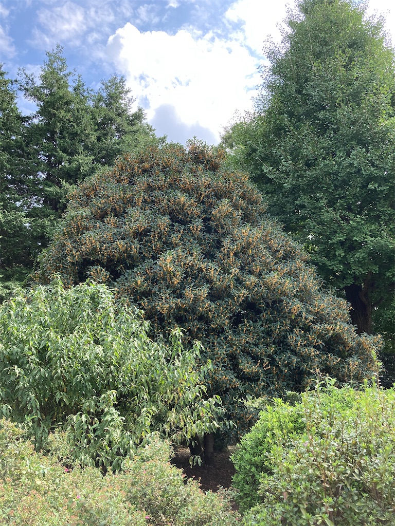 f:id:wa_ta:20201003173835j:image