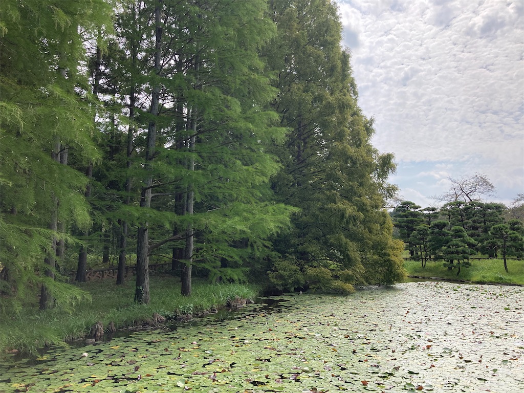 f:id:wa_ta:20201003174135j:image