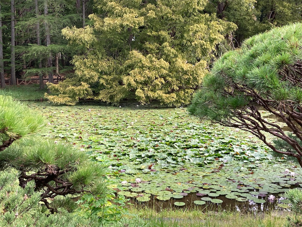 f:id:wa_ta:20201003174451j:image