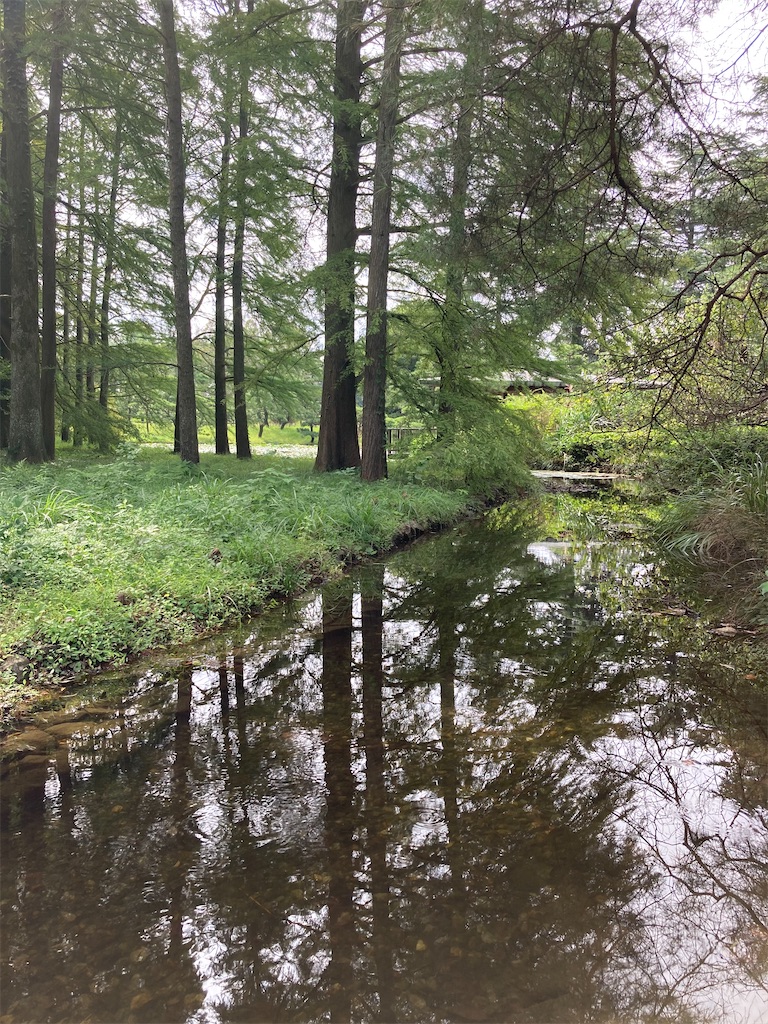 f:id:wa_ta:20201003174455j:image