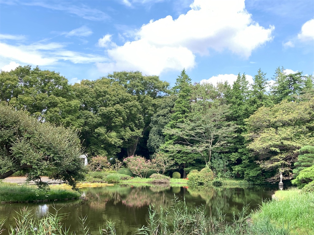 f:id:wa_ta:20201003174738j:image