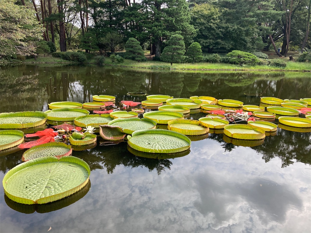 f:id:wa_ta:20201003175044j:image