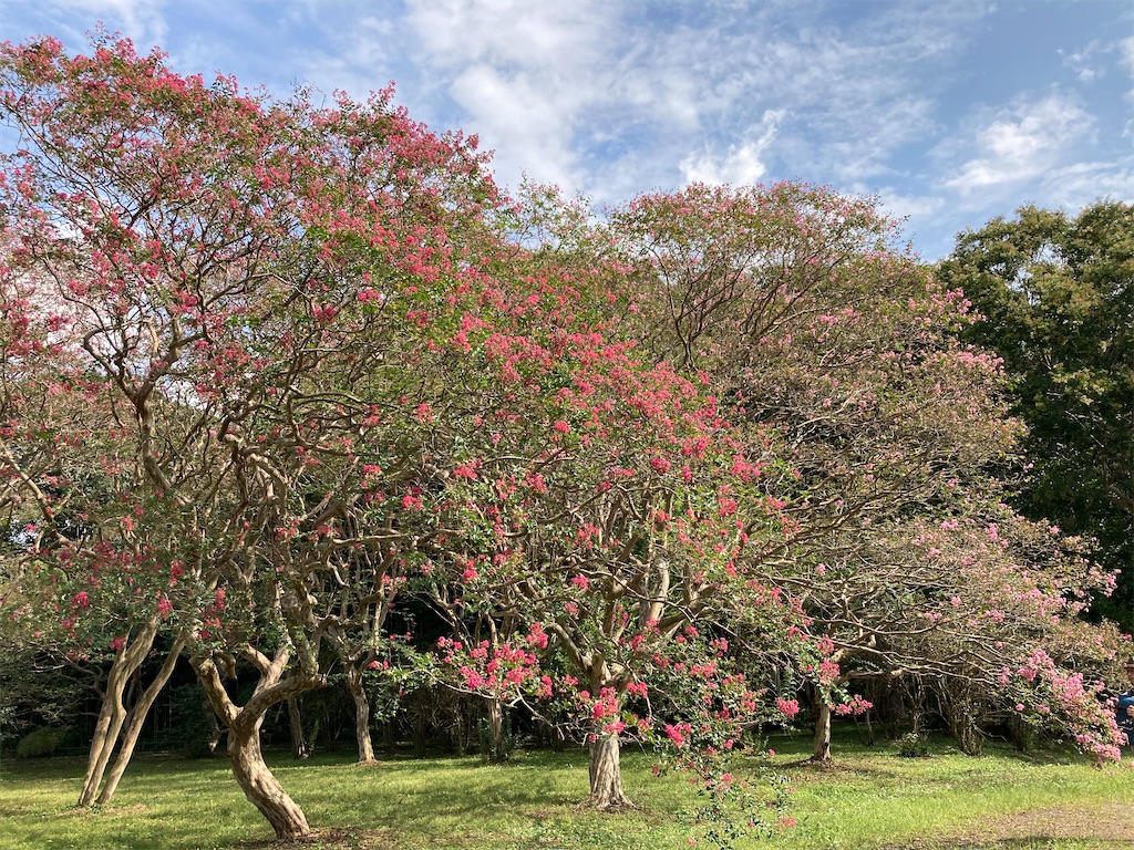 f:id:wa_ta:20201003175942j:image