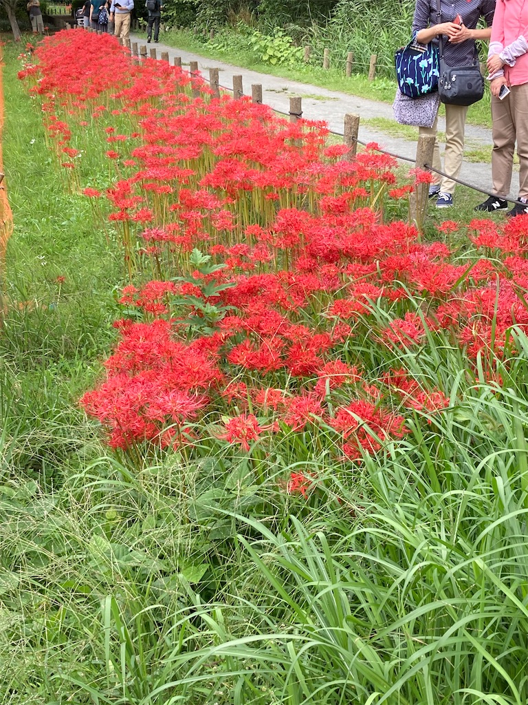 f:id:wa_ta:20201003180802j:image