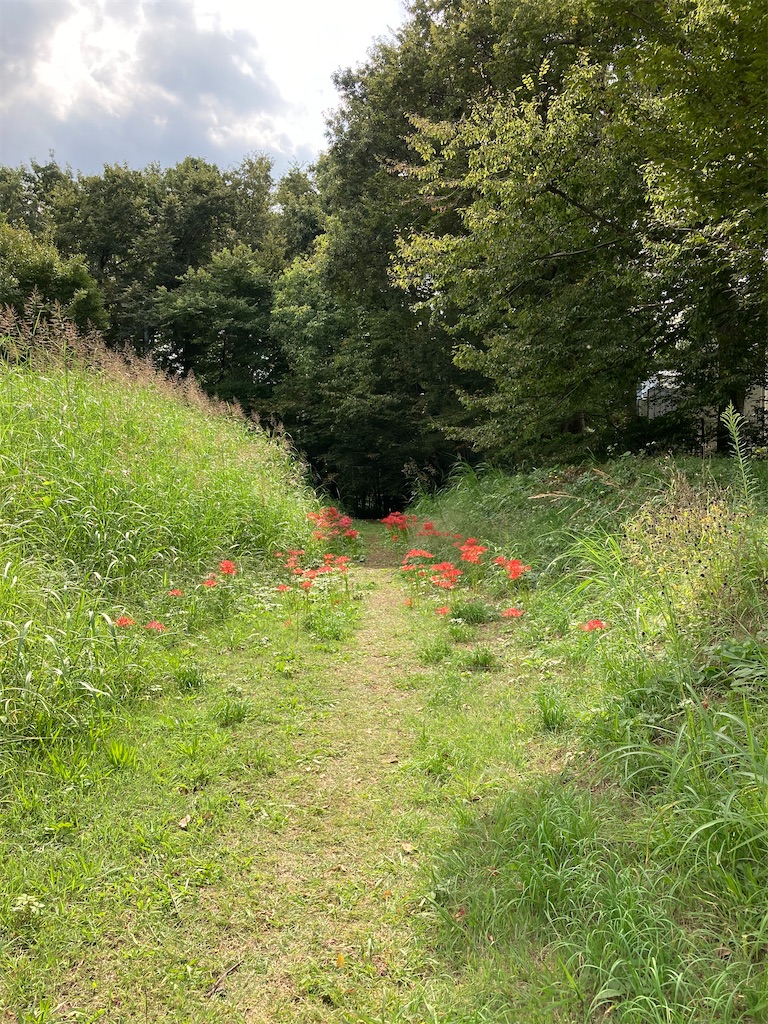 f:id:wa_ta:20201003181523j:image