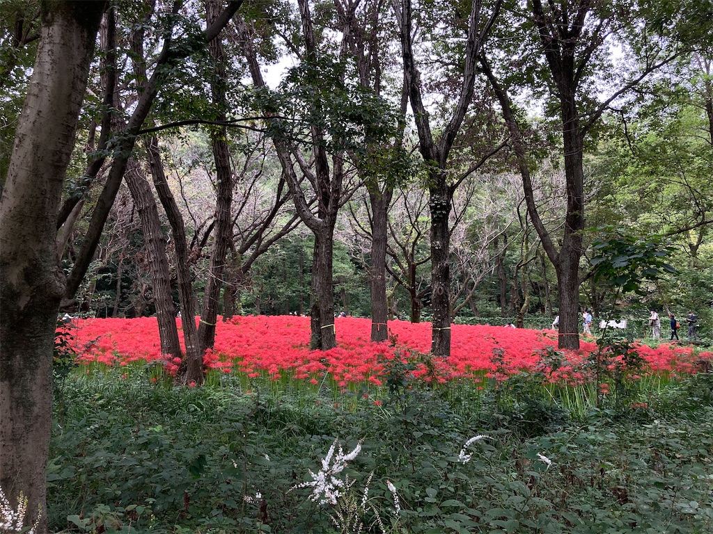 f:id:wa_ta:20201003182336j:image