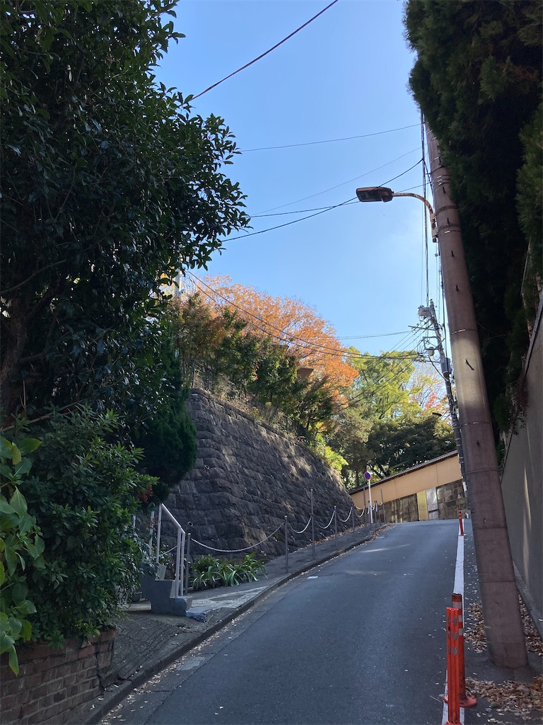 f:id:wa_ta:20201123215335j:image