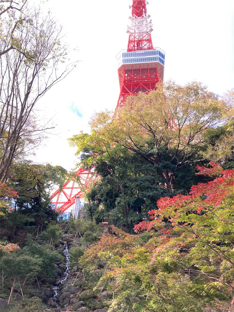 f:id:wa_ta:20201123215900j:image