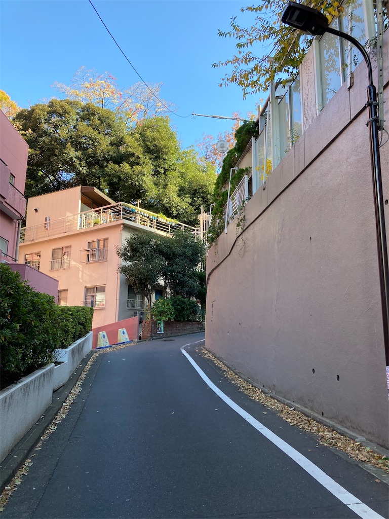 f:id:wa_ta:20201123233200j:image