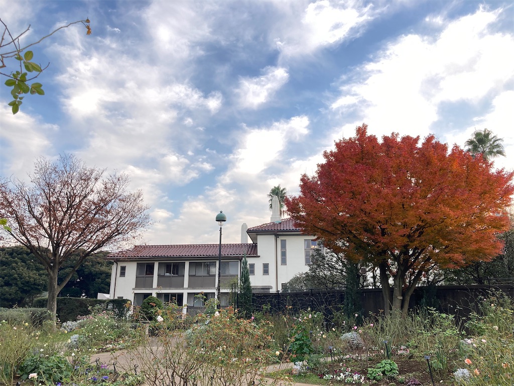 f:id:wa_ta:20201213203549j:image