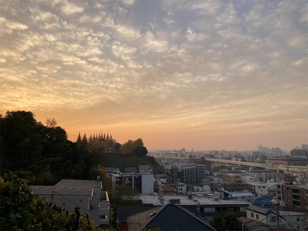 f:id:wa_ta:20201213210905j:image