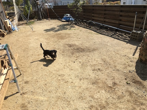 f:id:waaaamii:20190217210517j:image
