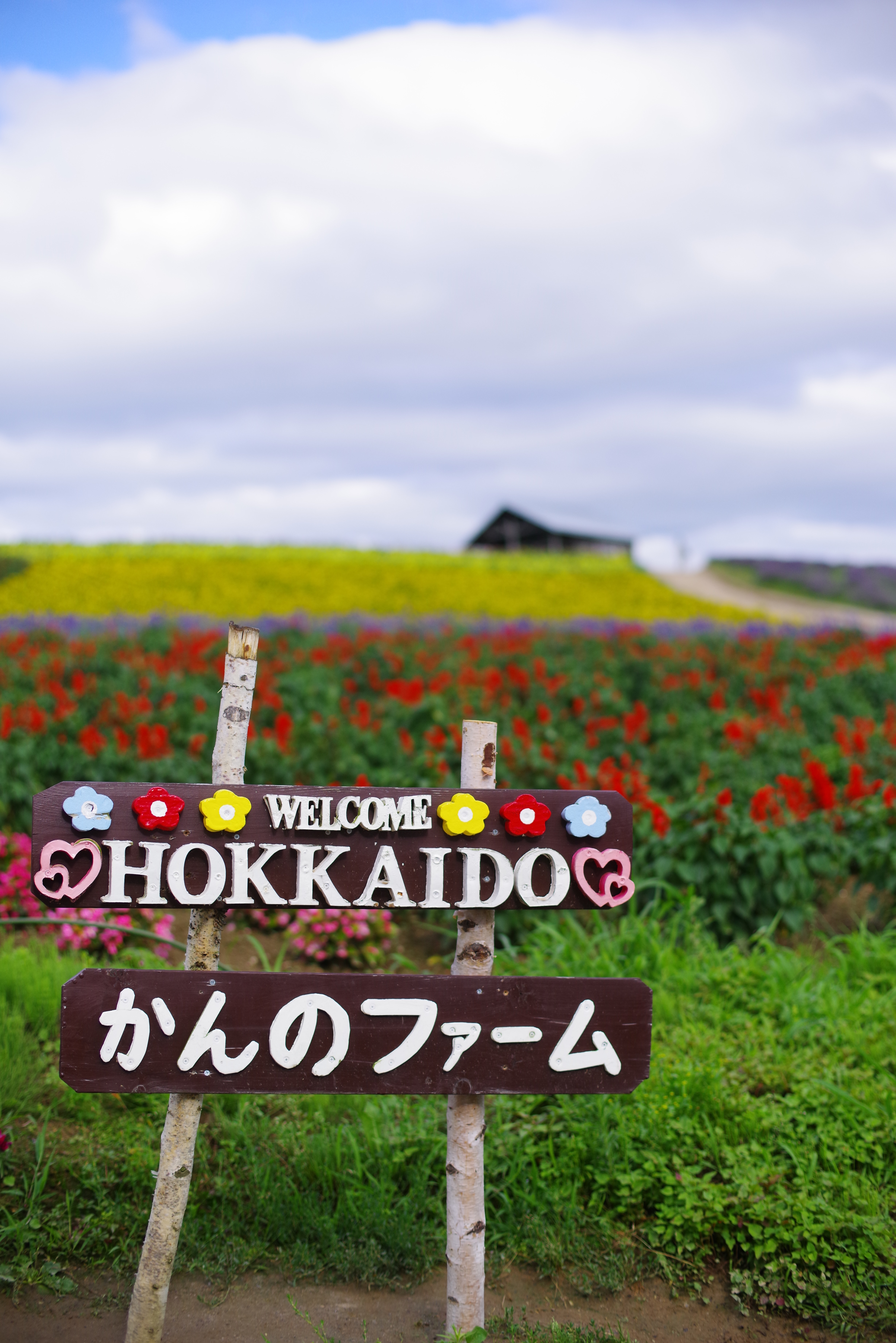 f:id:waai-pentax0702:20260728201507j:image