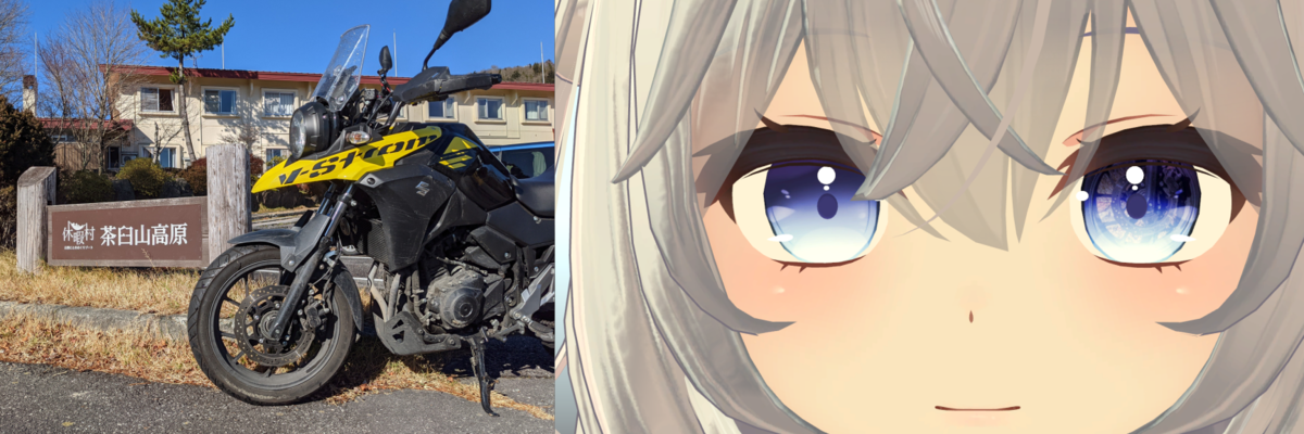 f:id:wababi:20201207200313p:plain