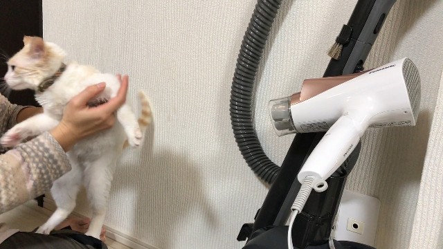 f:id:wabisabi_channel:20200118013414j:image f:id:wabisabi_channel:20200118013414j:image