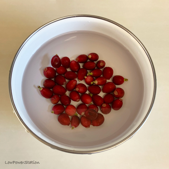 f:id:wabysprg:20190111052229j:plain