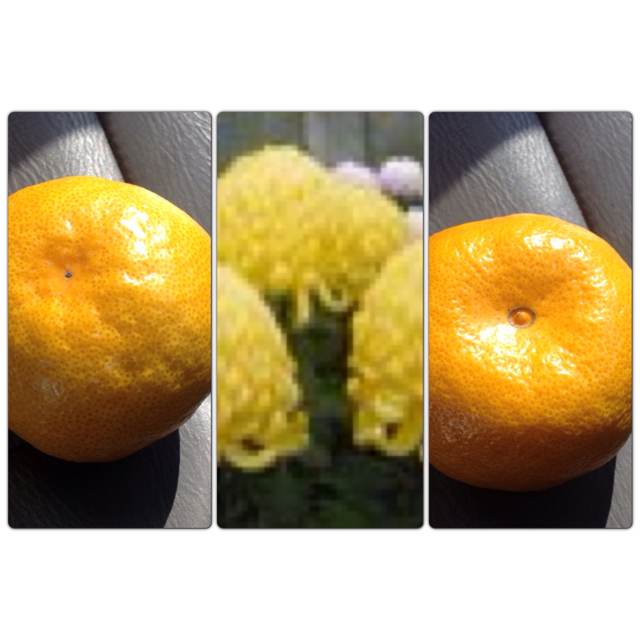 f:id:wacag:20131110161708j:plain f:id:wacag:20131110161708j:plain