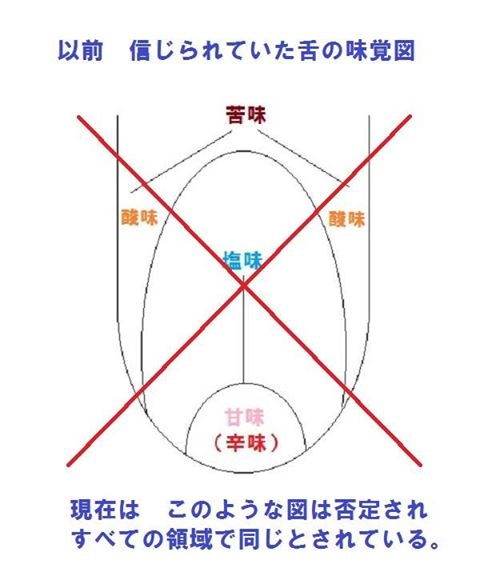 f:id:wacag:20131210221512j:plain f:id:wacag:20131210221512j:plain