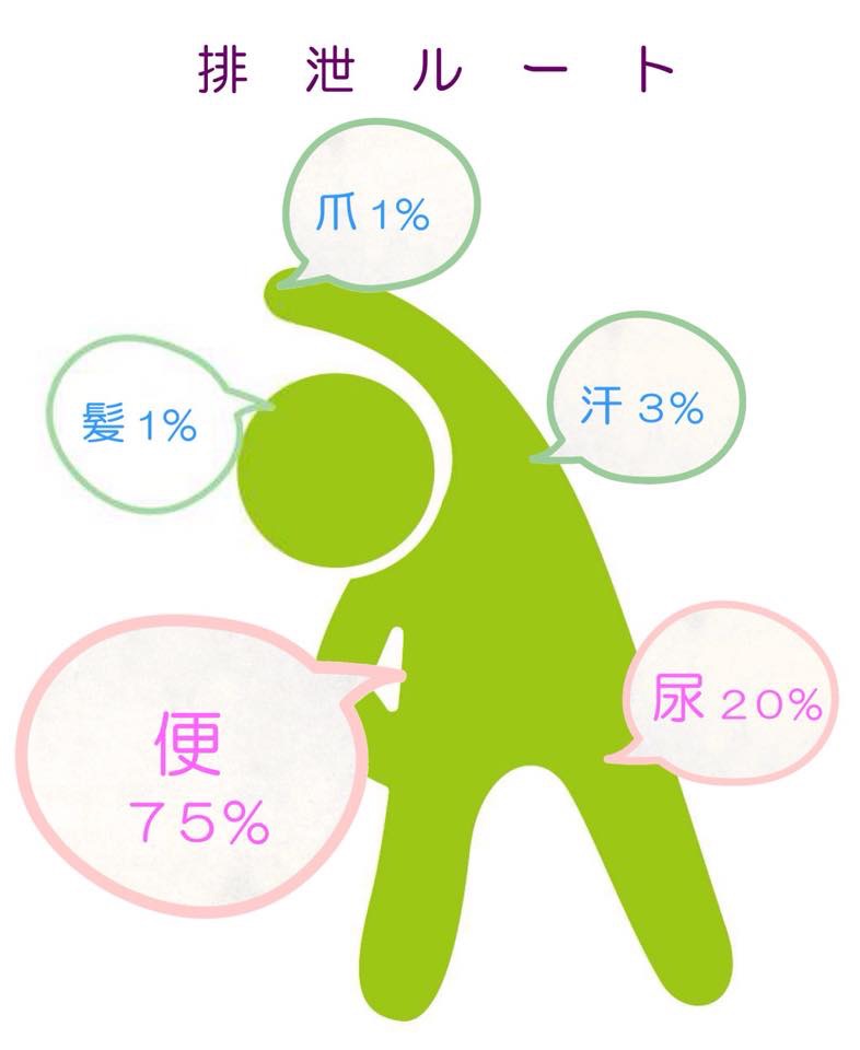 f:id:wacag:20150105212912j:plain f:id:wacag:20150105212912j:plain
