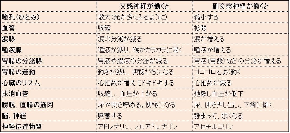 ステロイド剤と自律神経 Waca Jhiのブログ