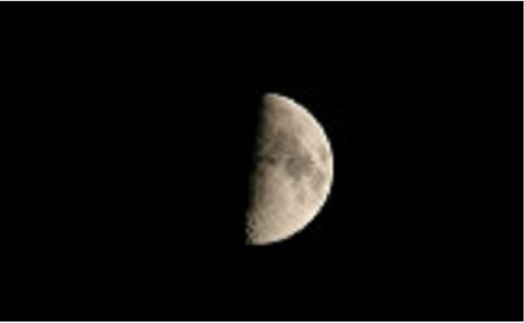 f:id:wacag:20190213102552j:plain f:id:wacag:20190213102552j:plain