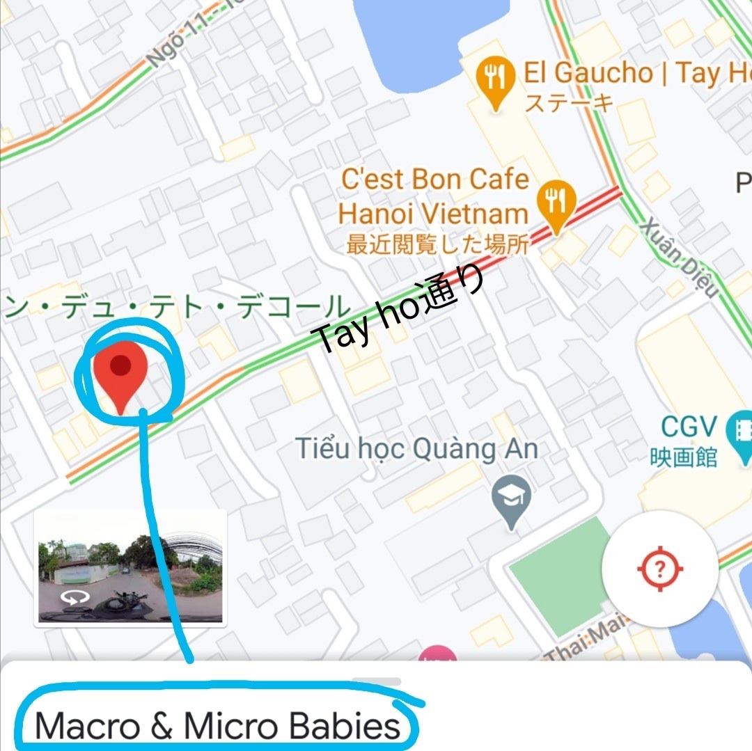 f:id:waccainhanoi:20210316104412j:plain