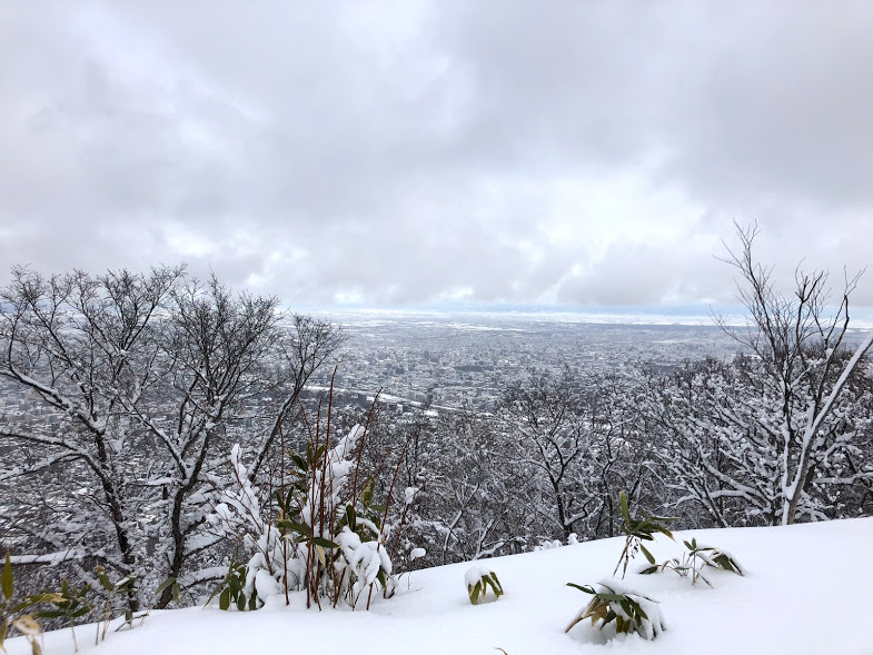 f:id:wachiyo1030:20180103185502j:plain