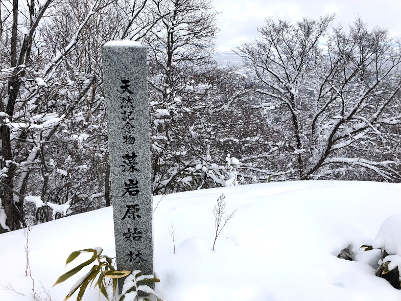 f:id:wachiyo1030:20180103185516j:plain