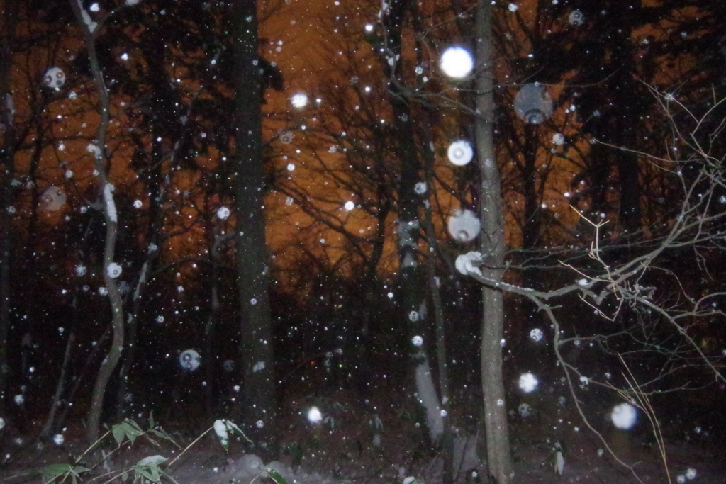 f:id:wachiyo1030:20180114190701j:plain