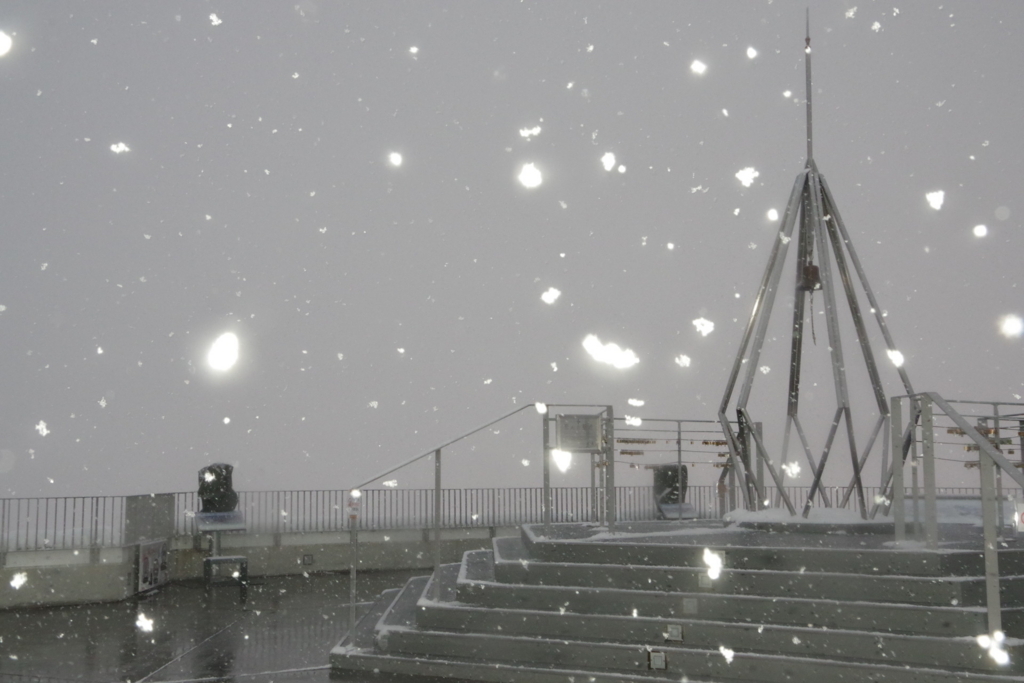 f:id:wachiyo1030:20180114190718j:plain