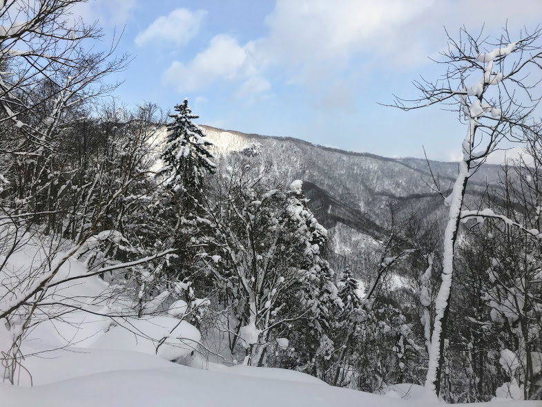 f:id:wachiyo1030:20180129182720j:plain